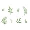 Eight Ferns Wall Stencil | 2343 by Designer Stencils | Floral Stencils | Reusable Art Craft Stencils for Painting on Walls, Canvas, Wood | Reusable Plastic Paint Stencil for Home Makeover | Easy to Use & Clean Art Stencil